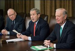 布什将接见伊拉克逊尼派领袖