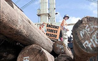 环保人士指控马来西亚木材业者滥伐行径