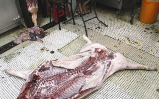 香港政府調查兩豬農死亡事件