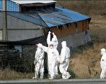 安徽發現人禽流感病例　香港籲旅客注意