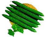 家庭多款黄瓜菜谱(图)