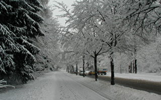 德国中南部、奥地利喜迎瑞雪