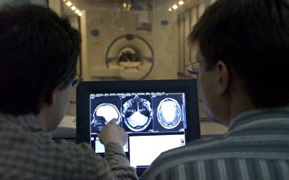 大脑扫描探测出人类无私行为的根源