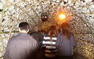 嘉義國家燈會「藝術燈區 」先行開放