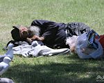 墨爾本流浪漢暴屍橋下半年多才被發現