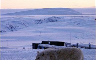 加國科學家深入北極冰層　研究西北航路未來
