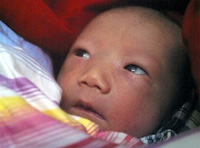 《中国洋娃娃》作者呼吁关注中国虐杀女婴问题