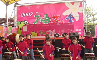 赏花．品香．柚乡行 柚花季麻豆登场
