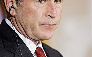 布什促伊朗與敘利亞以行動支持對伊拉克承諾