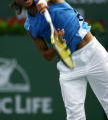 纳达尔 Rafael Nadal  (Photo by Harry How/Getty Images)