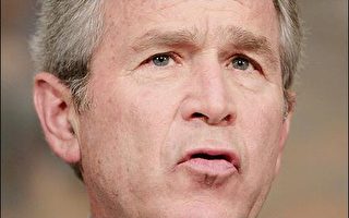 布什仍堅持美軍現在撤出伊拉克嫌太早