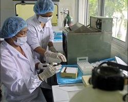 印尼同意恢復與世衛組織分享禽流感血液樣本