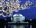 组图：四月到华盛顿看樱花