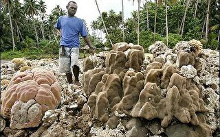 组图:索罗门强震海 底变陆地 珊瑚礁枯死