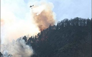 气候炎热  德西部和南部发生森林火灾