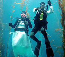 海生館巨藻展示缸今晚新人舉辦水中婚禮