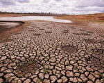 图为澳洲的布里斯本，当地负责供水的Wivenhoe Dam的水位目前已经下降到六年来的历史最低点，导致当地也陷入缺水的危机当中。(Photo by Jonathan Wood/Getty Images)