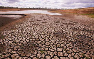 组图：澳洲干旱情况严重