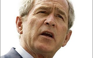 布什与国会民主党议员伊战争执白热化
