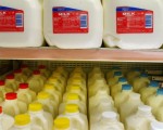 全球奶制品飞涨 民生物价直线上升