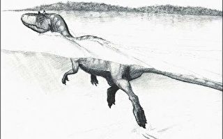 古代湖底腳印會說話 陸生恐龍非旱鴨子