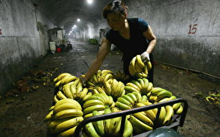 海南爆發「薩斯香蕉」傳聞