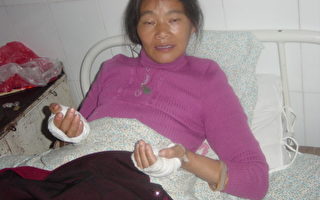 浙江釉料廠排污 毀果園全家遭砍