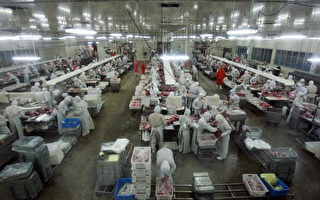國際輿論壓力下 中國180食品廠遭關閉