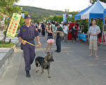 貢寮海洋音樂祭明登場  北縣警方動員緝毒