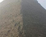 新世界七大奇觀出爐　埃及：金字塔無可取代