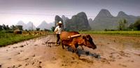 童大煥：當代中國該怎樣面對農民