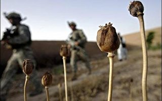 阿富汗激战 联军击毙60名塔利班叛军