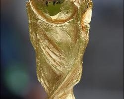 国际足总：巴西争取二零一四年世界杯主办权
