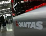 預防口蹄疫散布 澳洲機場加強英國旅客檢疫