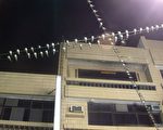 上萬家燕過境台東 民眾驚奇