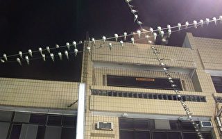 上万家燕过境台东 民众惊奇