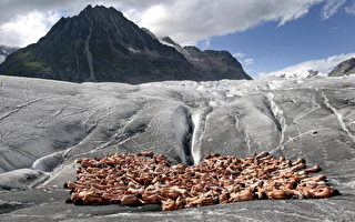 关注全球暖化 六百人冰川上全裸入镜