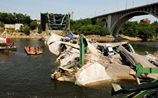 鴿糞是美國明州大橋坍塌幫凶之一