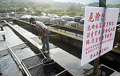 台北縣農業局查驗疑含禁藥鱒魚場  下令管制