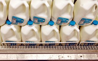 全球牛奶价格持续走俏 中国消耗量上升