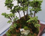 自然禪境  馬景壽學生樹石創作展