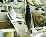 組圖：第7屆全國休閒農業創意賽