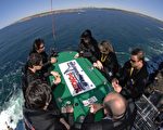 10月4日，在澳大利亞悉尼附近海邊，參加第四屆世界極限撲克牌比賽(the fourth International Extreme Poker event)的選手在距海面90米的高空中舉行了一場刺激的世界極限撲克牌比賽。(AFP PHOTO / DAVID HANCOCK)