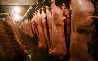 廣州豬肉攤打七折 搶購潮持續六天