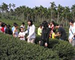 嘉大英語志工隊 深入窮鄉僻壤教英語