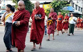 緬甸僧侶再度回到街頭示威