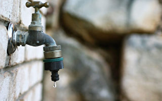 不節約用水就坐牢　美喬州採嚴刑峻法