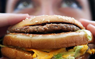 研究：高脂肪食物擾亂生理時鐘代謝差