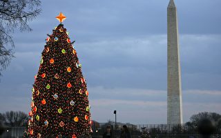 參加國家聖誕樹點燈 數千人獲免費票