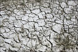 气候变迁：欧洲最干旱国家西班牙对抗沙漠化